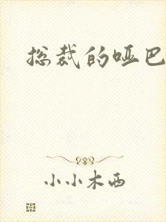 总裁的哑巴妻子封面