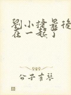 刘小捷最后和谁在一起了