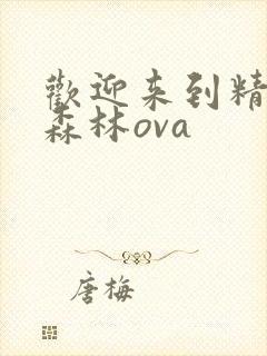 欢迎来到精灵之森林ova