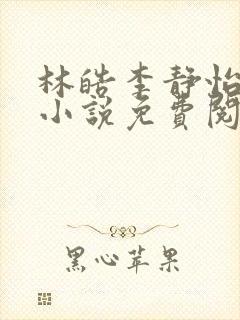 林皓李静怡官场小说免费阅读封面