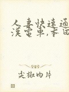 人妻快速通勤痴汉电车,本田岬封面