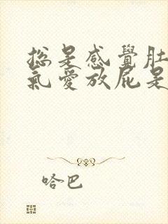 总是感觉肚子有气爱放屁是怎么回事