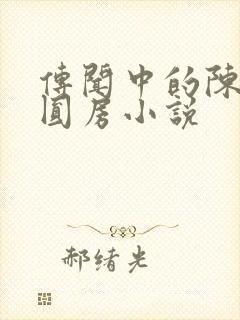 传闻中的陈芊芊圆房小说封面