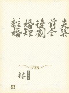 离婚后前夫求复婚短剧全集