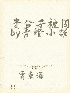 贵公子被囚为奴by青灯小说免费阅读封面