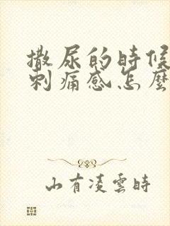 撒尿的时候龟头刺痛感怎么回事