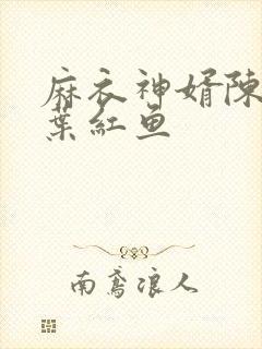 麻衣神婿陈黄皮叶红鱼