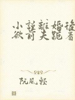 小说离婚后,禁欲前夫跪着求复合封面