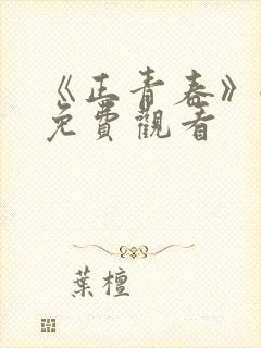 《正青春》全集免费观看封面