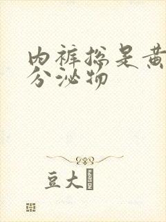 内裤总是黄色的分泌物封面