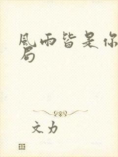 风雨皆是你大结局