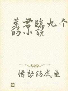 叶君临九个师傅的小说