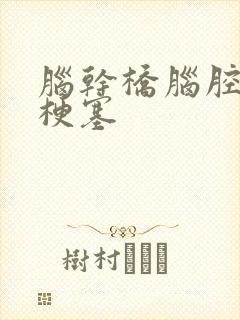 脑干桥脑腔隙性梗塞