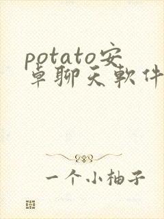 potato安卓聊天软件官网