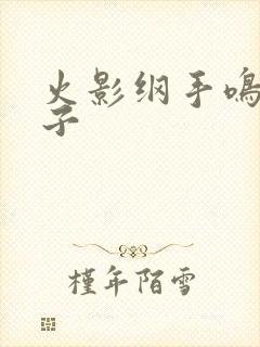 火影纲手鸣人本子