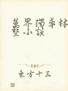 万界独尊林枫完整小说