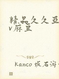 精品久久亚洲av麻豆