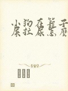 小狗在笼子里拉屎拉尿怎么办