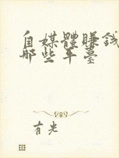 自媒体赚钱都有哪些平台