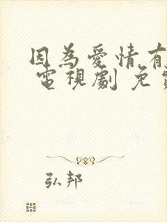 因为爱情有晴天 电视剧 免费观看封面