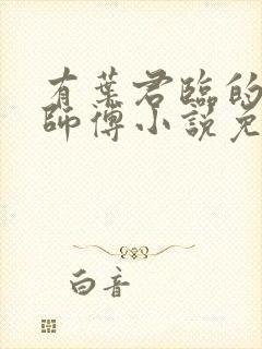 有叶君临的九位师傅小说免费阅读