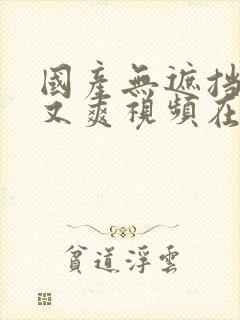 国产无遮挡又黄又爽视频在线播放