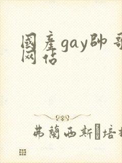 国产gay帅哥网站