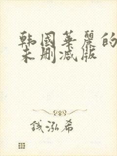 韩国华丽的外出未删减版