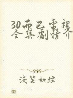 30而已电视剧全集剧情介绍封面