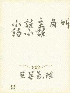 小说主角叫叶空的小说