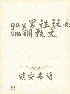 gay男性玩奴sm调教文封面