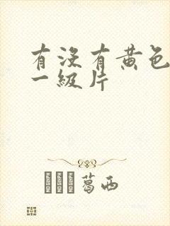 有没有黄色录像一级片