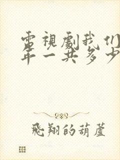 电视剧我们这十年一共多少集