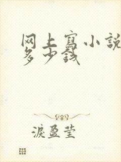 网上写小说能挣多少钱