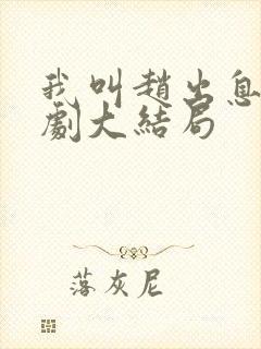 我叫赵出息电视剧大结局封面