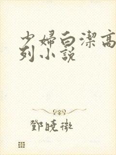 少妇白洁高义系列小说