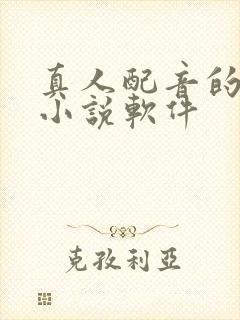 真人配音的有声小说软件