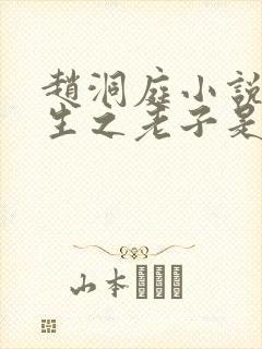 赵洞庭小说《重生之老子是皇帝》