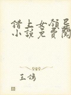 错上女领导官场小说免费阅读封面