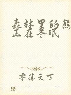 森林里的熊先生正在冬眠