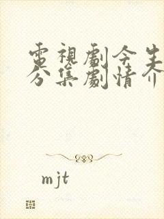 电视剧今生有你分集剧情介绍