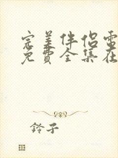 完美伴侣电视剧免费全集在线观看