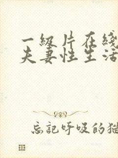 一级片在线观看夫妻性生活黄色录象封面