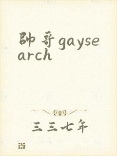 帅哥gaysearch