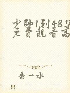 少帅1到48集免费观看高清