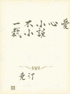 一不小心爱上总裁小说