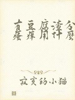 有豆腐渣分泌物瘙痒用什么药