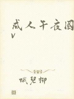 成人午夜国产av