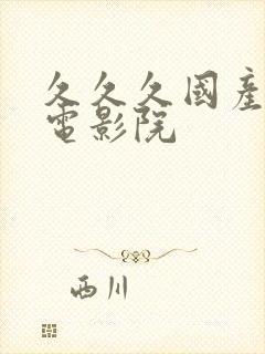 久久久国产精品电影院