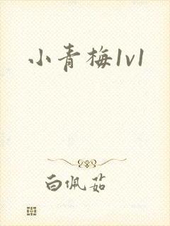 小青梅1v1封面